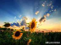 淮安浩后刚信息技术有限公司