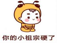 淮安浩后刚信息技术有限公司