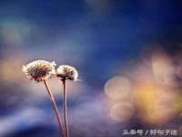 淮安浩后刚信息技术有限公司
