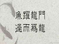 淮安浩后刚信息技术有限公司