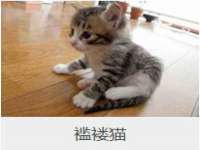 淮安浩后刚信息技术有限公司