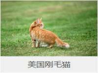 淮安浩后刚信息技术有限公司