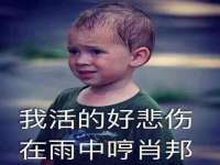 淮安浩后刚信息技术有限公司