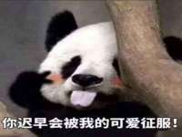 淮安浩后刚信息技术有限公司