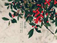 淮安浩后刚信息技术有限公司