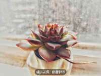 淮安浩后刚信息技术有限公司