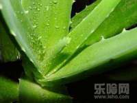 淮安浩后刚信息技术有限公司