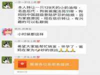 淮安浩后刚信息技术有限公司