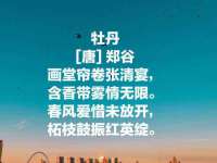 淮安浩后刚信息技术有限公司