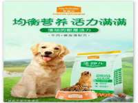 淮安浩后刚信息技术有限公司