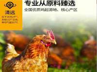 淮安浩后刚信息技术有限公司