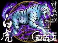 淮安浩后刚信息技术有限公司