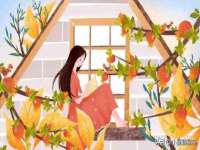 淮安浩后刚信息技术有限公司