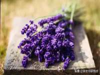 淮安浩后刚信息技术有限公司